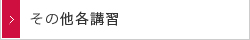 その他各講習